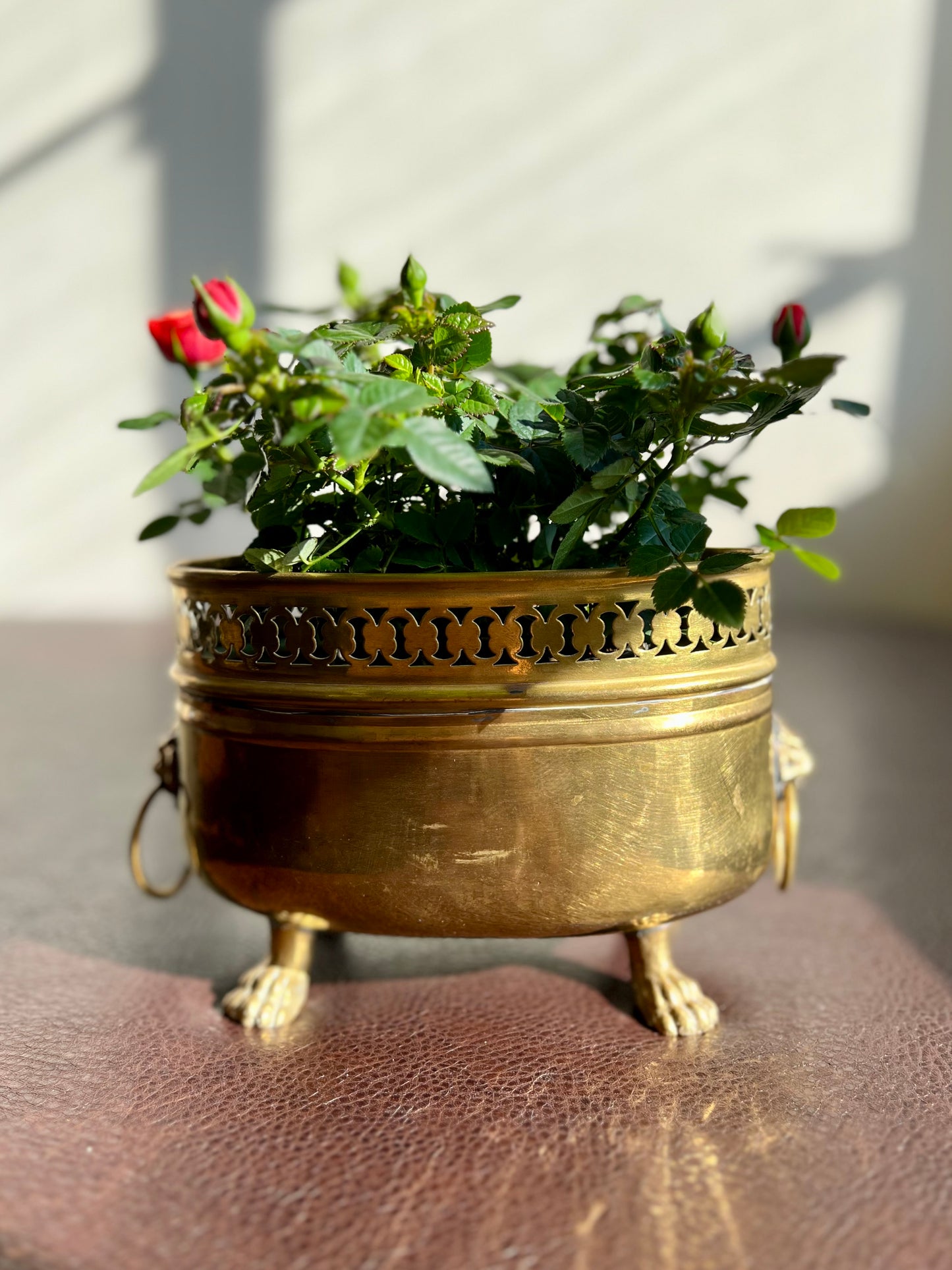 Spanish Antique/Vintage Brass Planter Jardinière Ornate on Four Lion Paws Footed and Two Lion Heads with Rings