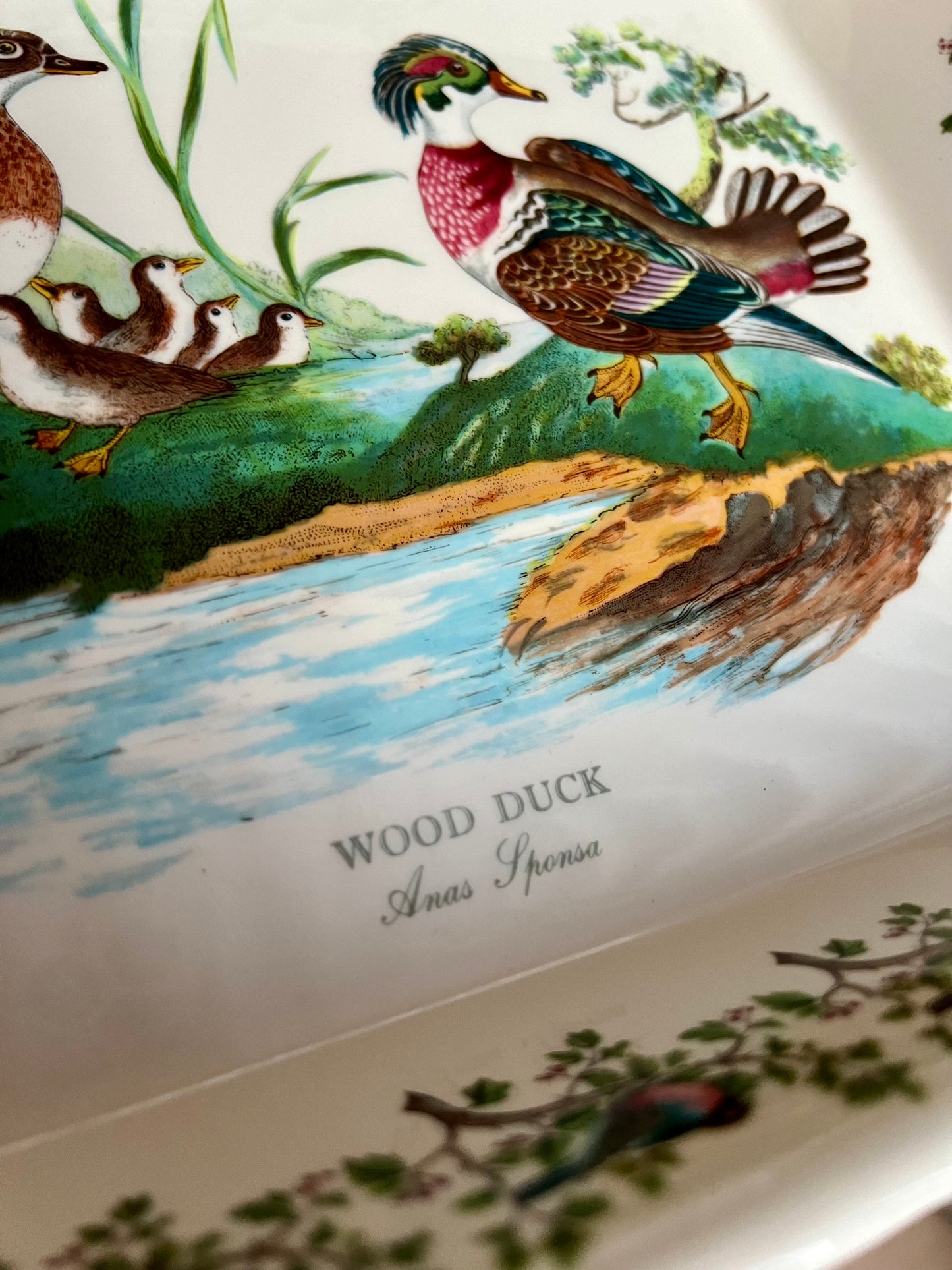 Portmeirion Pottery Birds Of Britain "Wood Duck" Vintage Baking Dish, Made in England