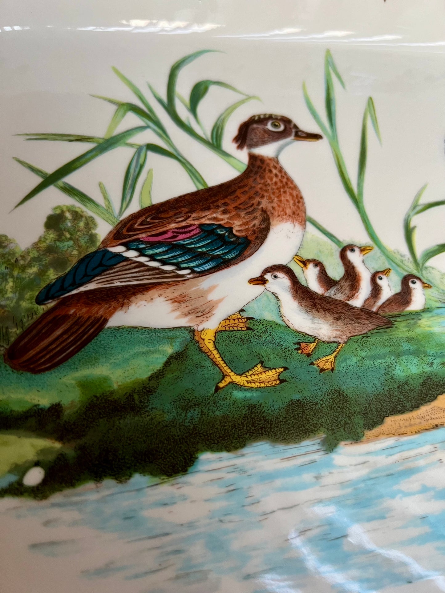 Portmeirion Pottery Birds Of Britain "Wood Duck" Vintage Baking Dish, Made in England