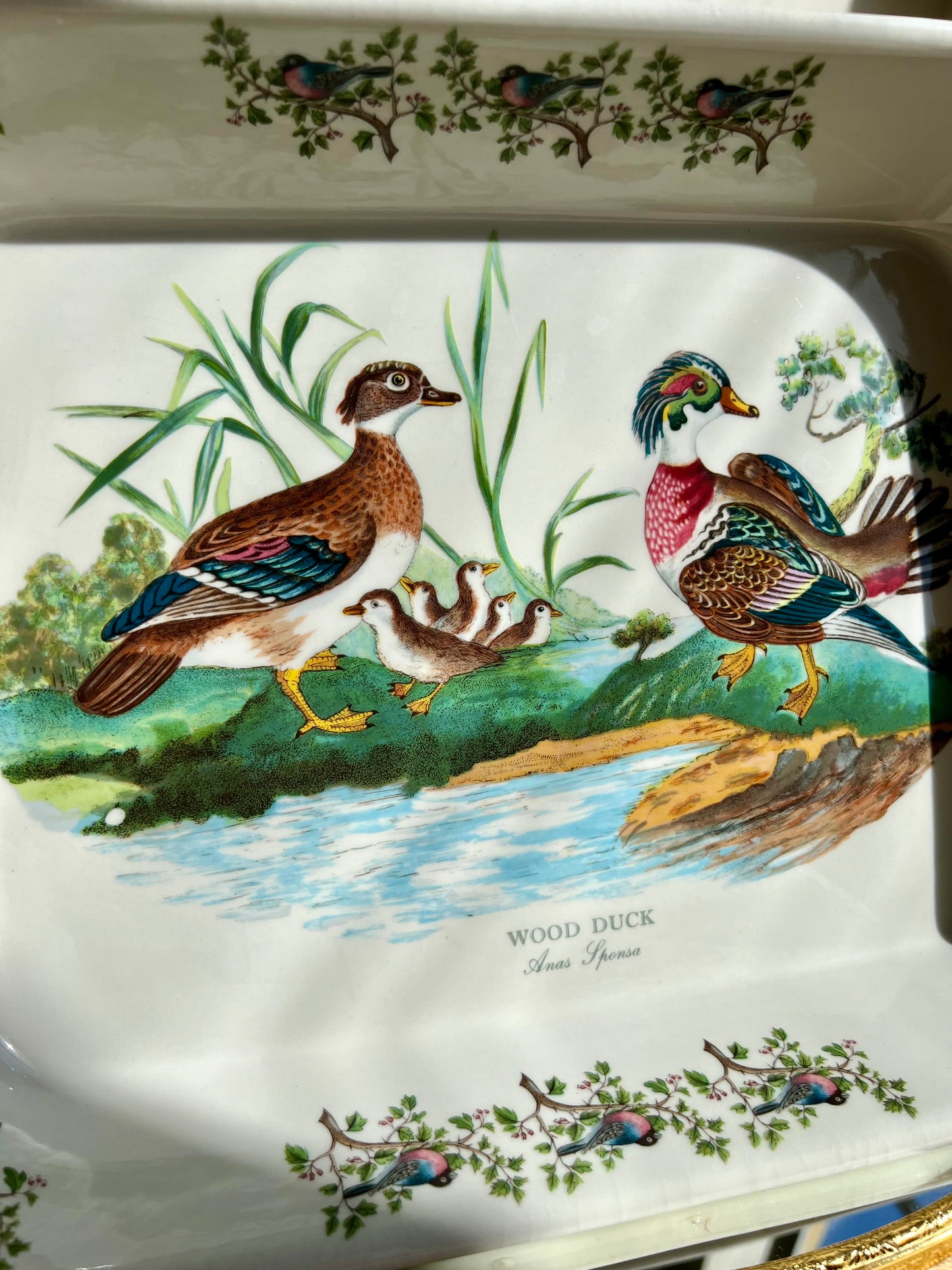 Portmeirion Pottery Birds Of Britain "Wood Duck" Vintage Baking Dish, Made in England