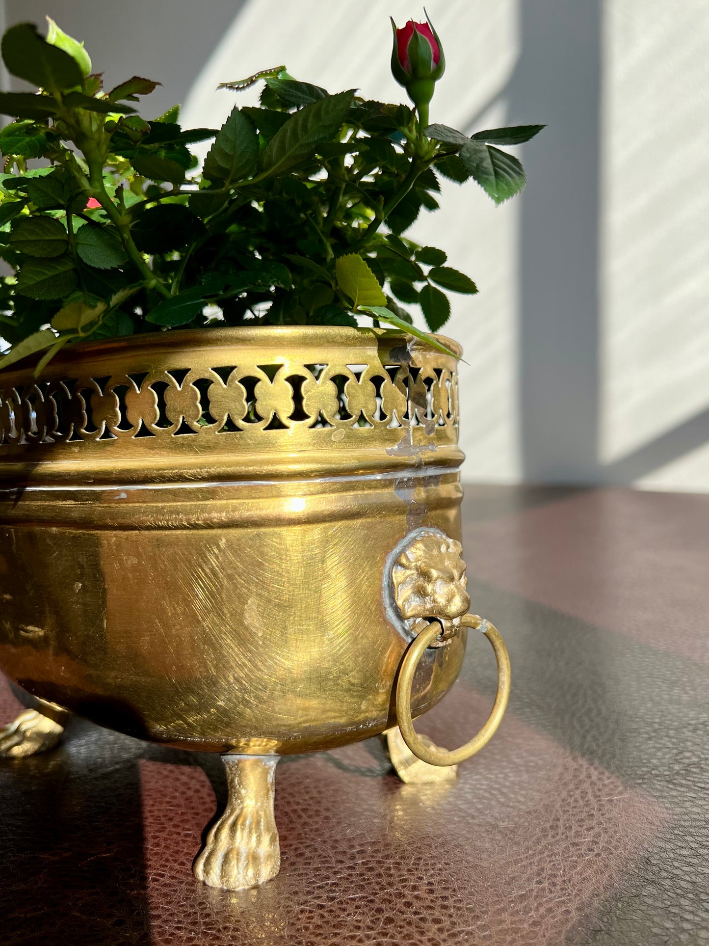 Spanish Antique/Vintage Brass Planter Jardinière Ornate on Four Lion Paws Footed and Two Lion Heads with Rings