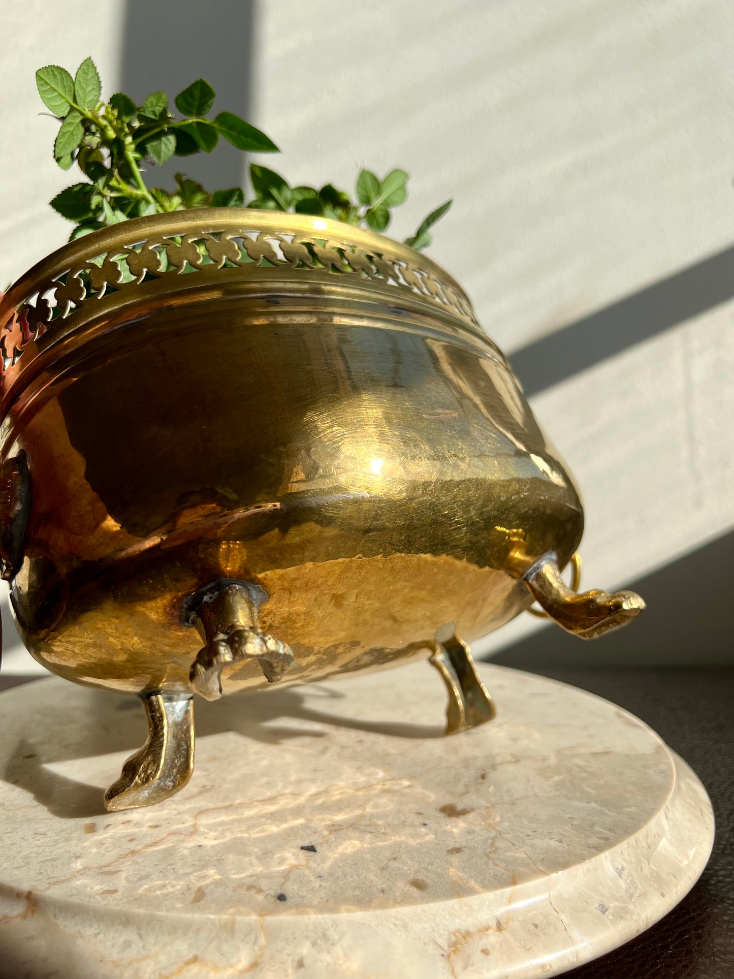Spanish Antique/Vintage Brass Planter Jardinière Ornate on Four Lion Paws Footed and Two Lion Heads with Rings