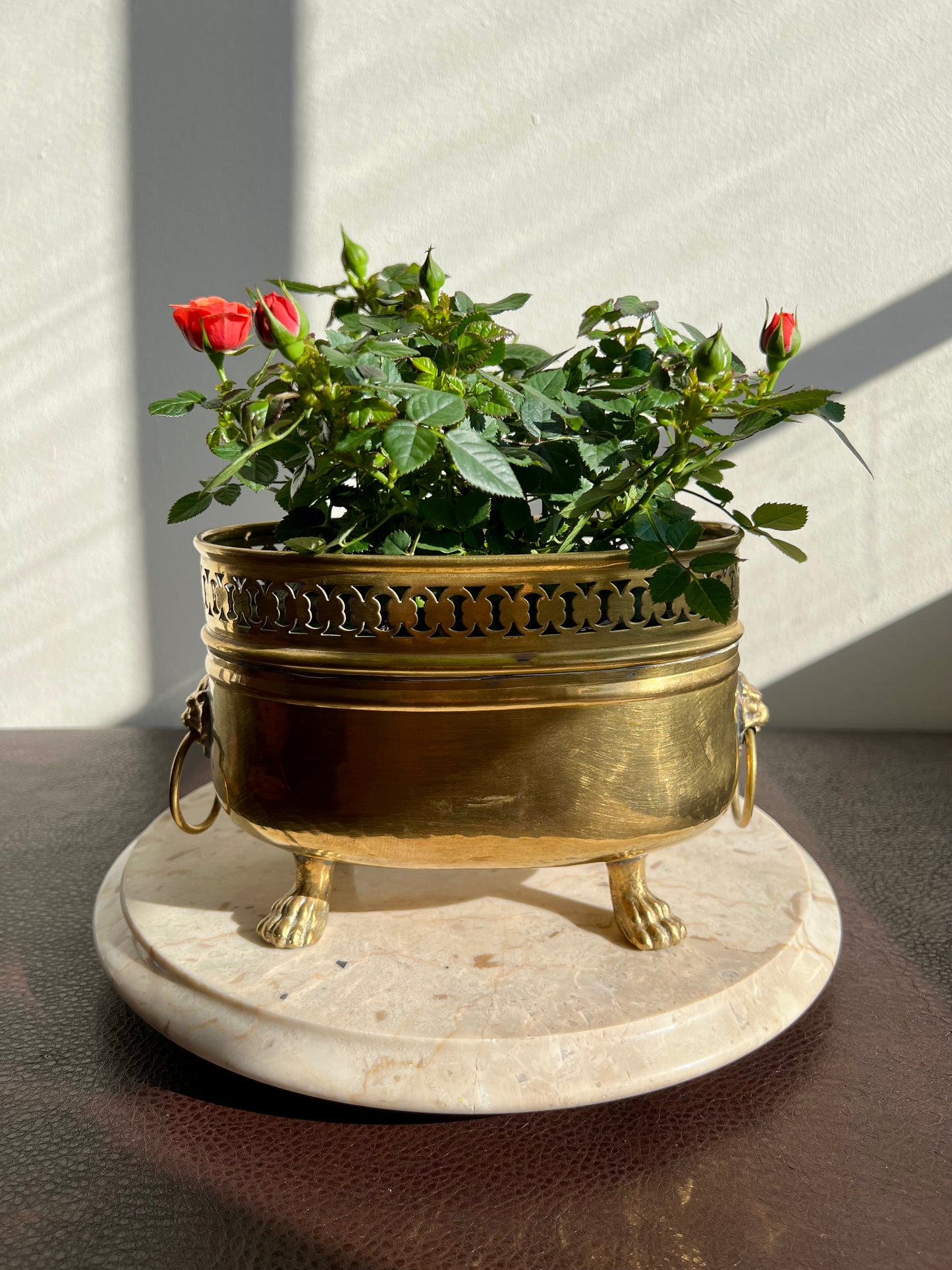 Spanish Antique/Vintage Brass Planter Jardinière Ornate on Four Lion Paws Footed and Two Lion Heads with Rings