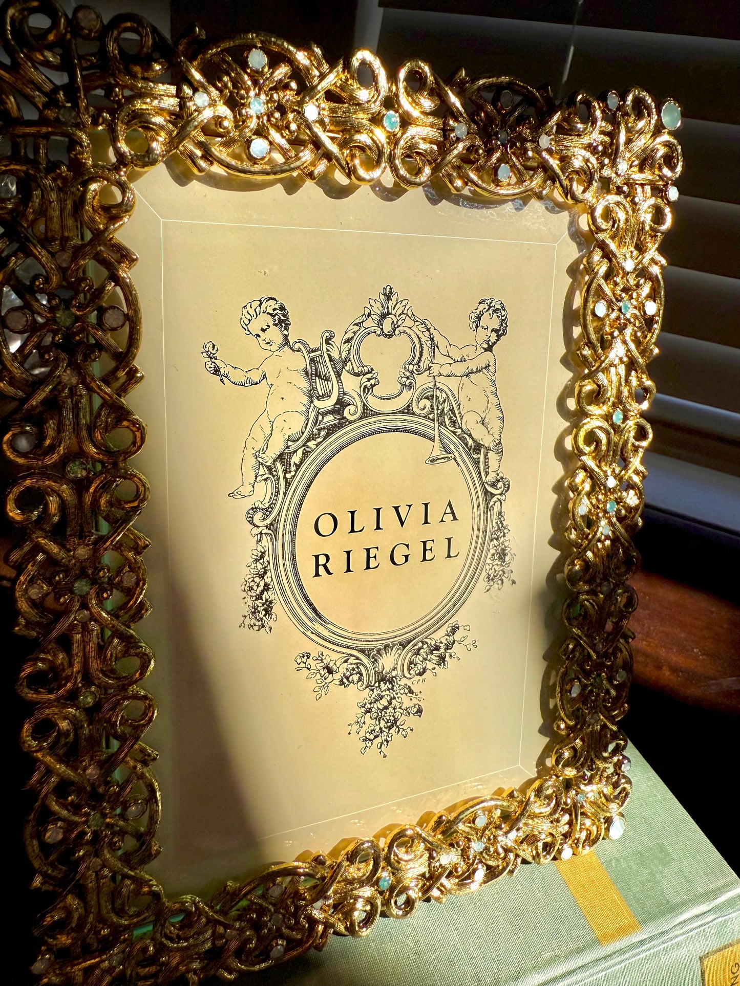Olivia Riegel Vintage Luxury Decorative Jewel Encrusted Ornate Gold Plated Photo/ Picture Frame with Beautiful Crystals