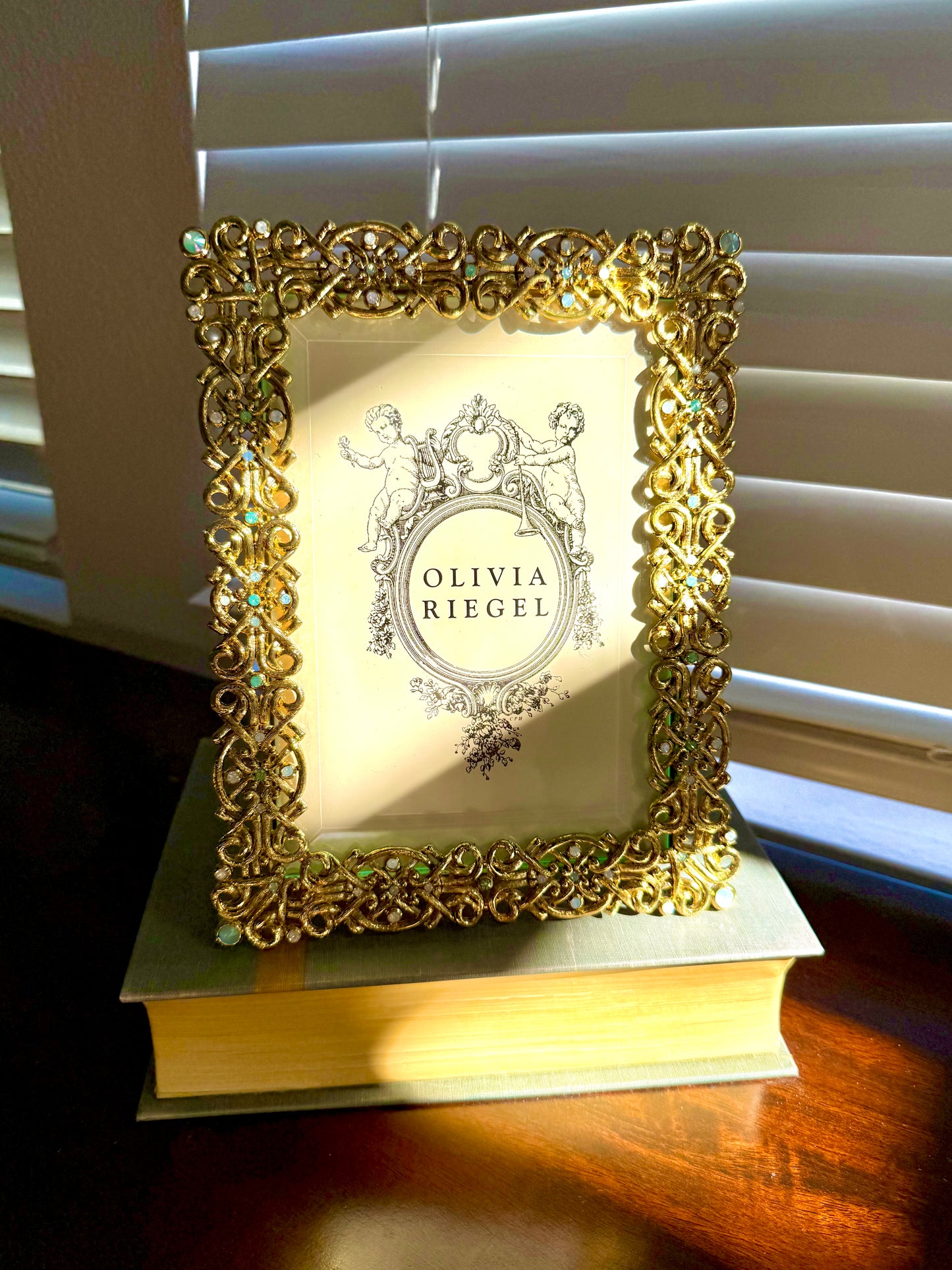 Olivia Riegel Vintage Luxury Decorative Jewel Encrusted Ornate Gold Plated Photo/ Picture Frame with Beautiful Crystals