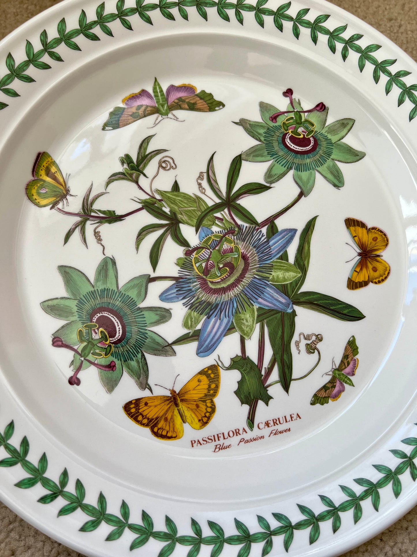 Port Meirion Botanic Garden Passiflora Caerulea, Blue Passion Flower Dinner Plate, from 1972