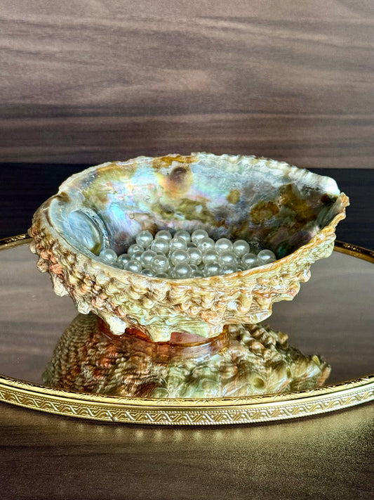 Abalone Vintage Shell Natural Mother of Pearl Bowls for Decoration on an Amber-toned Stand (This price is for one item only!)