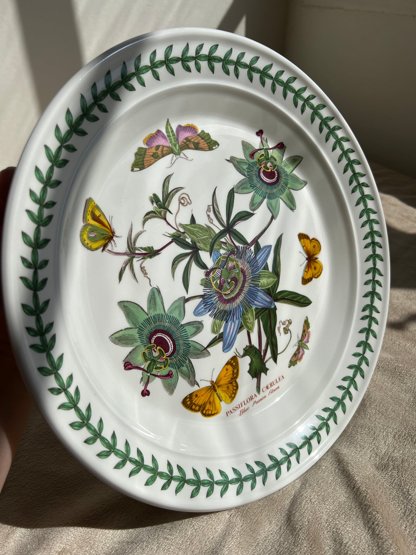 Port Meirion Botanic Garden Passiflora Caerulea, Blue Passion Flower Dinner Plate, from 1972