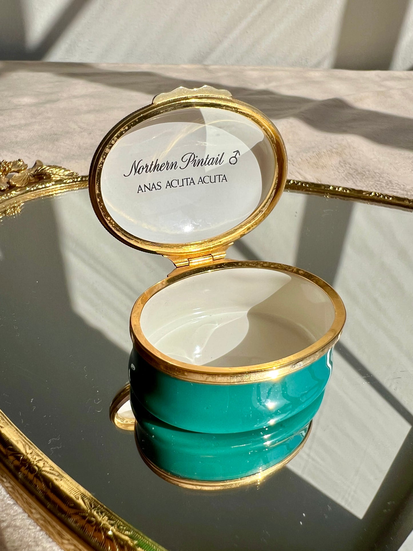 Halcyon Days Oval Enamel Box Mallard Duck