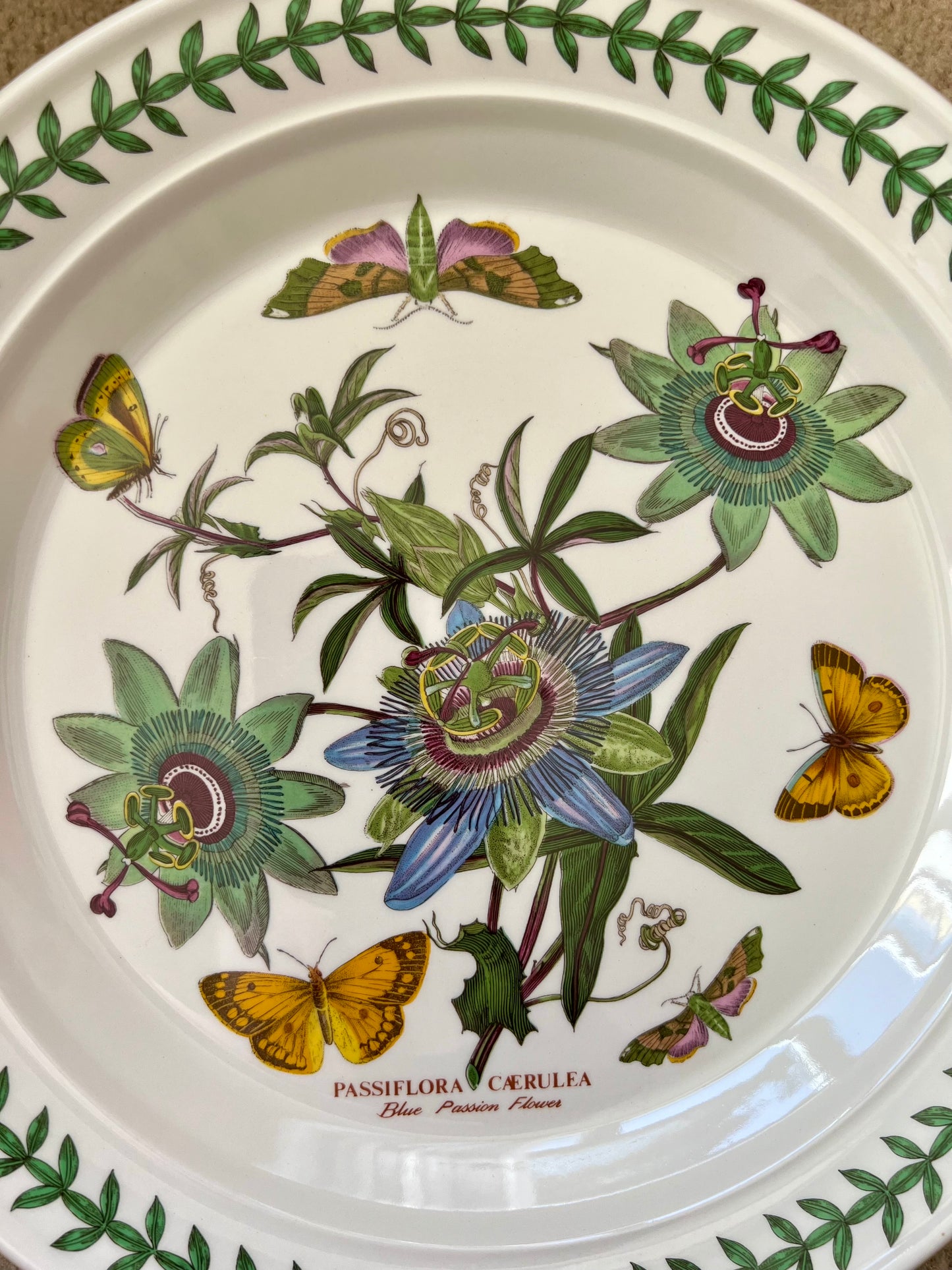 Port Meirion Botanic Garden Passiflora Caerulea, Blue Passion Flower Dinner Plate, from 1972