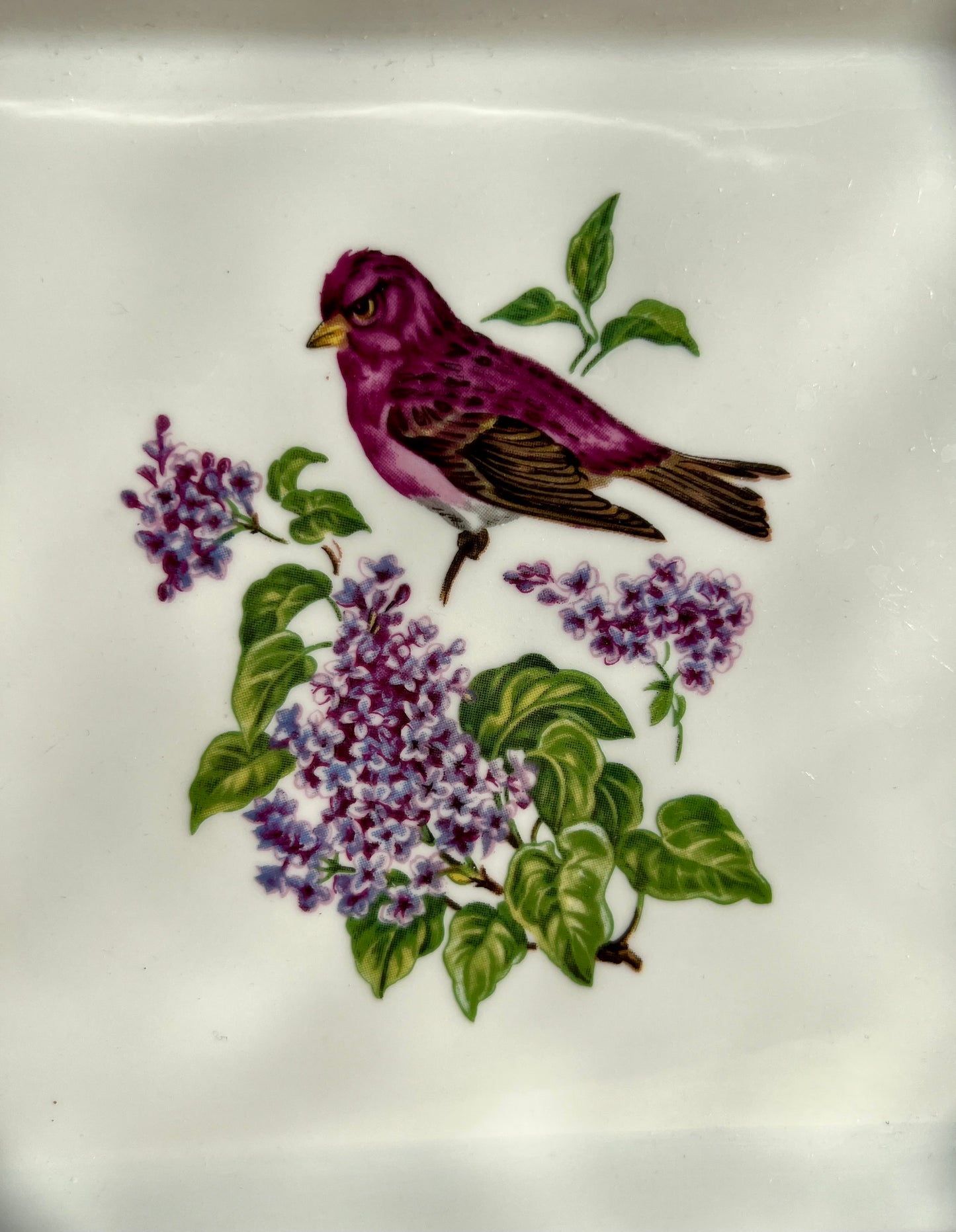 Limoges Porcelain Vanity Tray With Lilac Floral and Bird