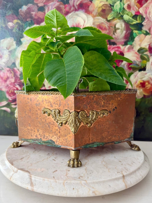 Antique Copper and Brass Planter or Jardinière, Footed Casket Box with Lion Heads and Claw Feet