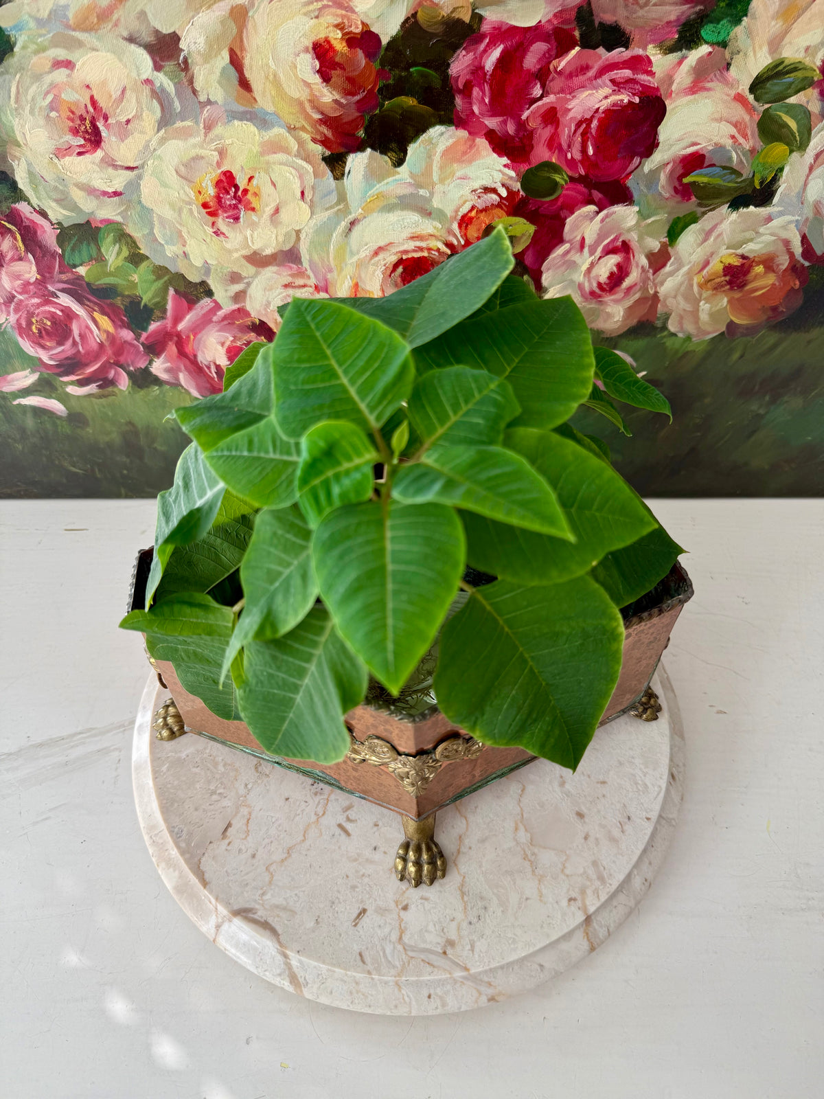 Antique Copper and Brass Planter or Jardinière, Footed Casket Box with Lion Heads and Claw Feet