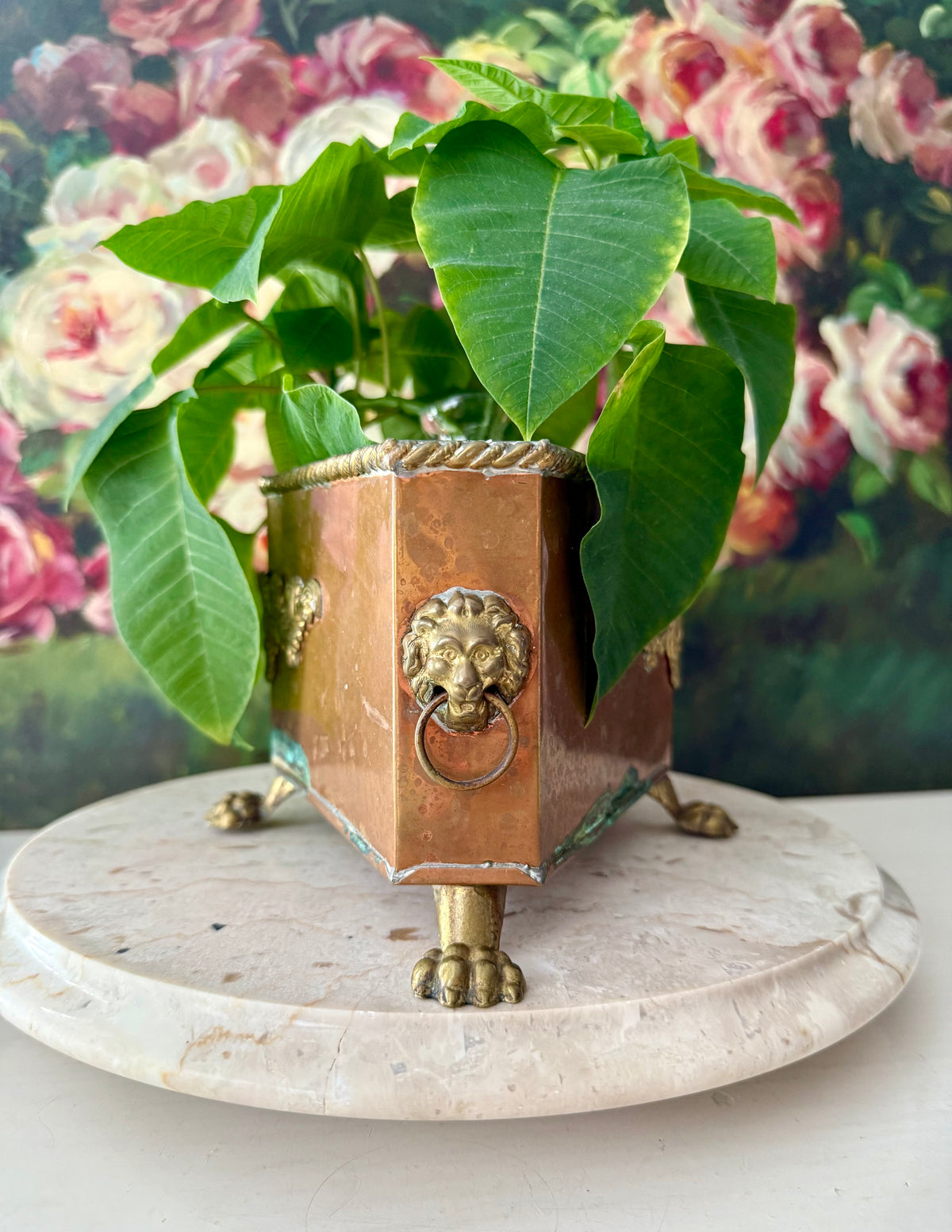 Antique Copper and Brass Planter or Jardinière, Footed Casket Box with Lion Heads and Claw Feet